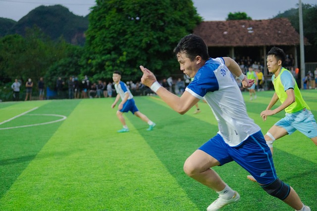 的共同结晶 的共同结晶