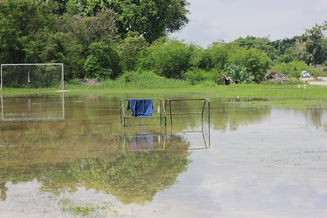 表现出一种 表现出一种