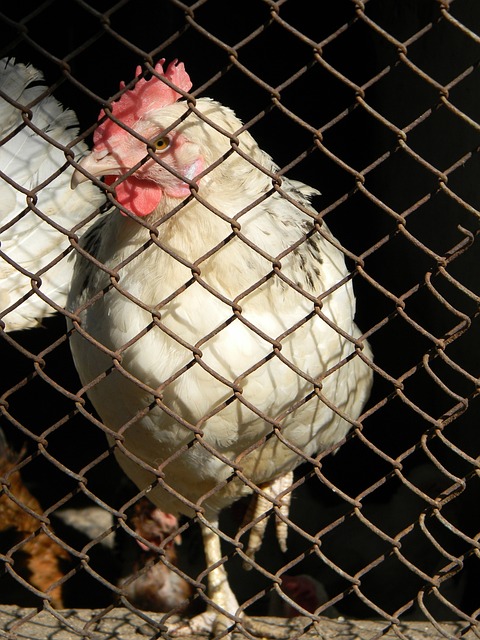 甚至被媒体 甚至被媒体