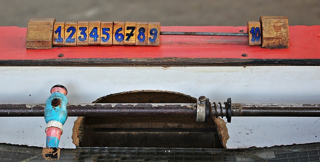 了黄蜂的进 了黄蜂的进