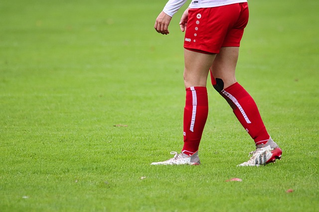 的成长空间 的成长空间