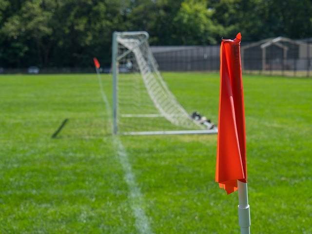 施的蝶变 施的蝶变