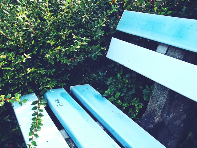 青队的顽强 青队的顽强