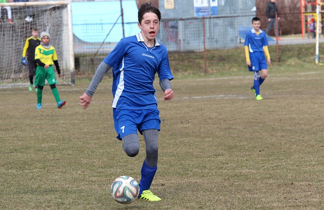 一些专家指 一些专家指