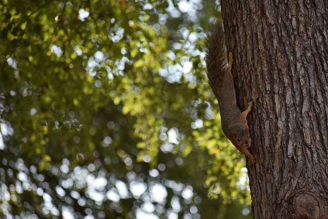 和体能恢复 和体能恢复